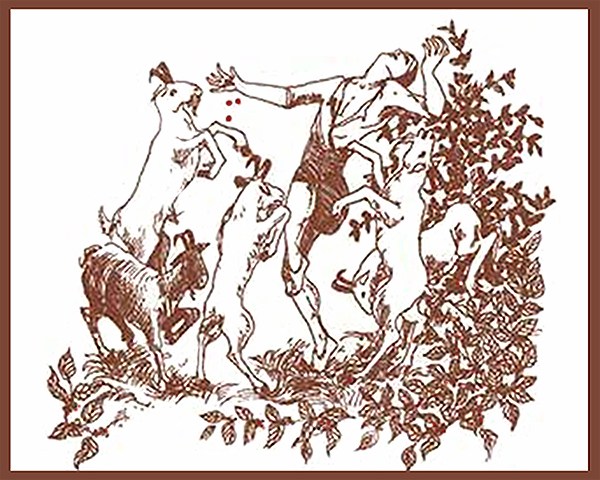 Kaldi-Dancing-with-the-Goats-jayells-coffee